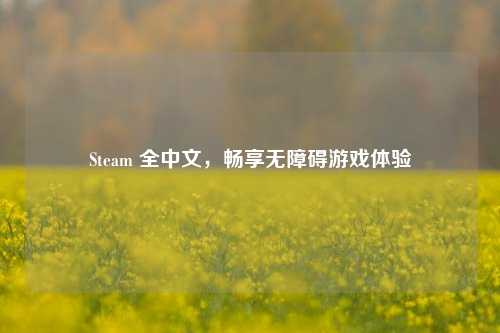 Steam 全中文，畅享无障碍游戏体验