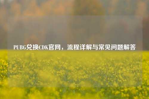 PUBG兑换CDK官网，流程详解与常见问题解答