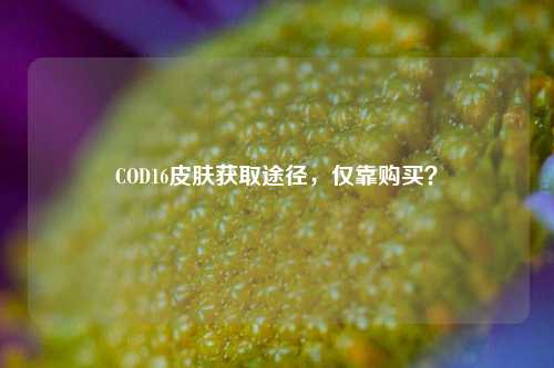 COD16皮肤获取途径，仅靠购买？
