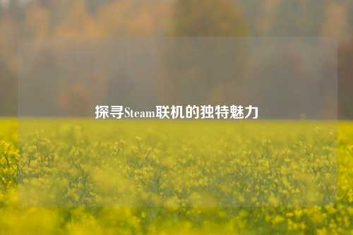 探寻Steam联机的独特魅力