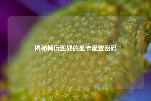 揭秘畅玩逆战的显卡配置密码