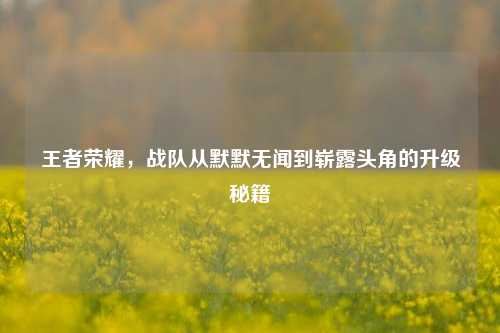 王者荣耀，战队从默默无闻到崭露头角的升级秘籍