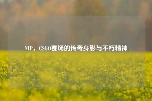 NIP，CSGO赛场的传奇身影与不朽精神