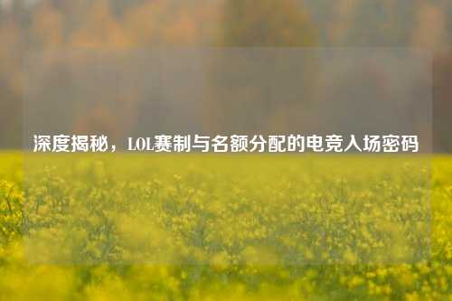 深度揭秘，LOL赛制与名额分配的电竞入场密码