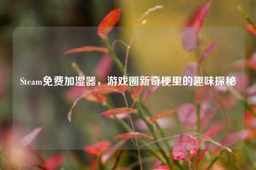 Steam免费加湿器，游戏圈新奇梗里的趣味探秘