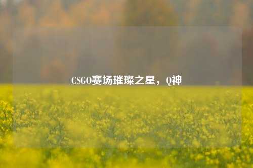 CSGO赛场璀璨之星，Q神