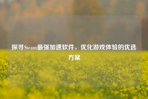 探寻Steam最强加速软件，优化游戏体验的优选方案
