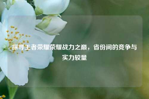 探寻王者荣耀荣耀战力之巅，省份间的竞争与实力较量