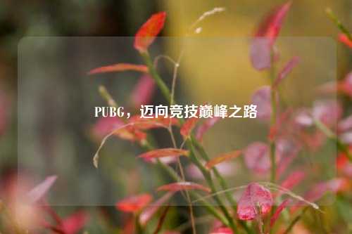 PUBG，迈向竞技巅峰之路