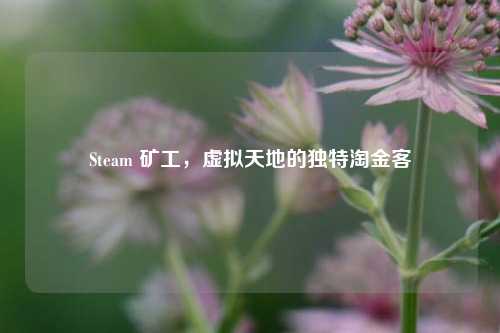 Steam 矿工，虚拟天地的独特淘金客
