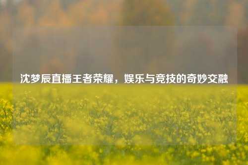 沈梦辰直播王者荣耀，娱乐与竞技的奇妙交融