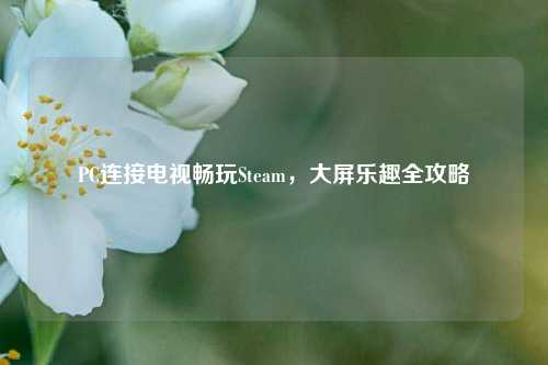 PC连接电视畅玩Steam，大屏乐趣全攻略