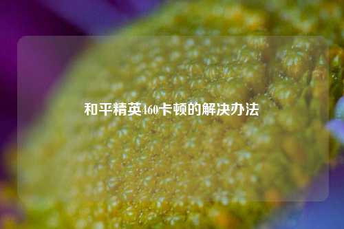 和平精英460卡顿的解决办法