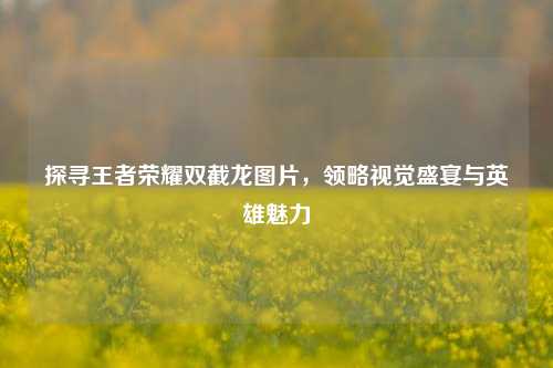 探寻王者荣耀双截龙图片,领略视觉盛宴与英雄魅力