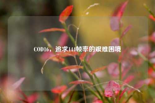 COD16,追求144帧率的艰难困境