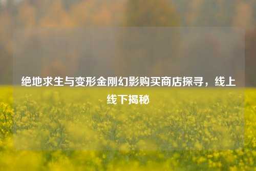 绝地求生与变形金刚幻影购买商店探寻,线上线下揭秘