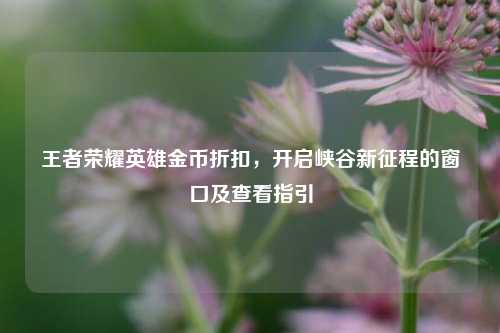 王者荣耀英雄金币折扣,开启峡谷新征程的窗口及查看指引