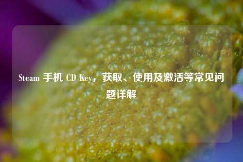 Steam 手机 CD Key,获取、使用及激活等常见问题详解