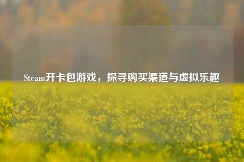 Steam开卡包游戏,探寻购买渠道与虚拟乐趣