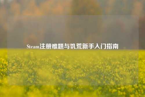 Steam注册难题与饥荒新手入门指南