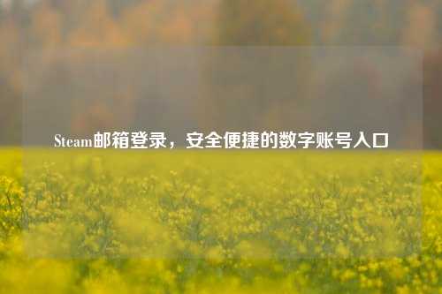 Steam邮箱登录，安全便捷的数字账号入口