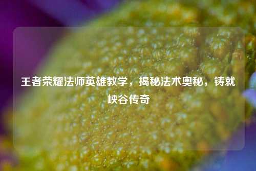 王者荣耀法师英雄教学,揭秘法术奥秘,铸就峡谷传奇