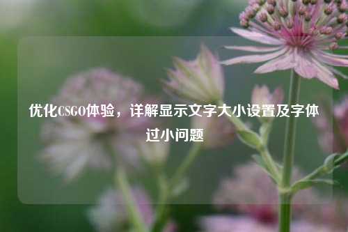 优化CSGO体验,详解显示文字大小设置及字体过小问题