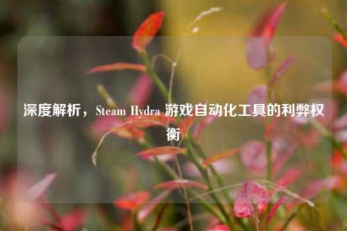 深度解析,Steam Hydra 游戏自动化工具的利弊权衡