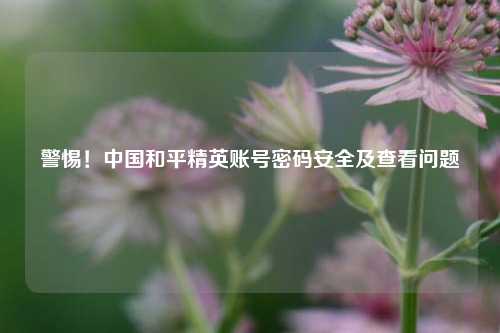 警惕!中国和平精英账号密码安全及查看问题