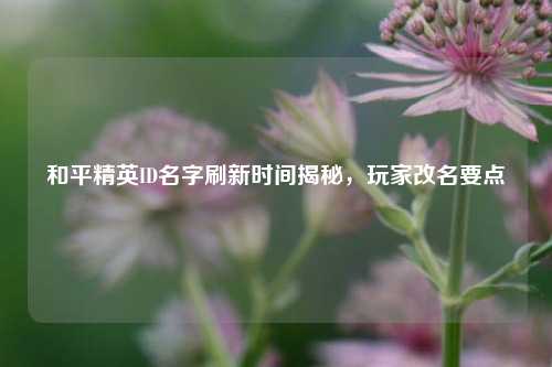 和平精英ID名字刷新时间揭秘,玩家改名要点