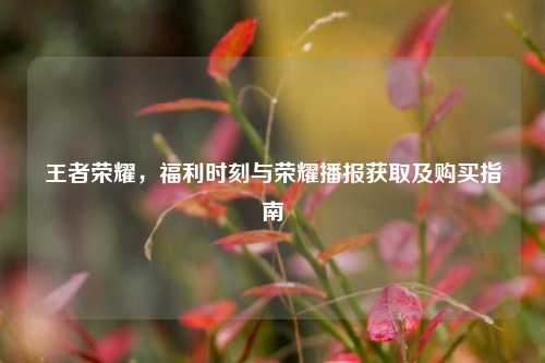 王者荣耀,福利时刻与荣耀播报获取及购买指南