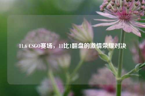 11.6 CSGO赛场,11比1翻盘的***荣耀对决