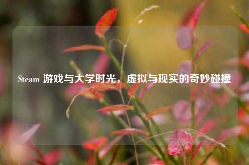 Steam 游戏与大学时光,虚拟与现实的奇妙碰撞