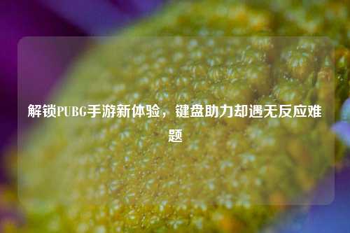 解锁PUBG手游新体验,键盘助力却遇无反应难题