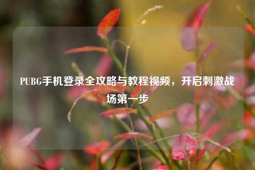 PUBG手机登录全攻略与教程视频,开启***战场之一步
