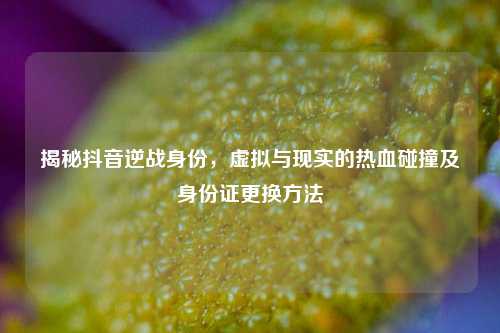 揭秘抖音逆战身份,虚拟与现实的热血碰撞及身份证更换 ***