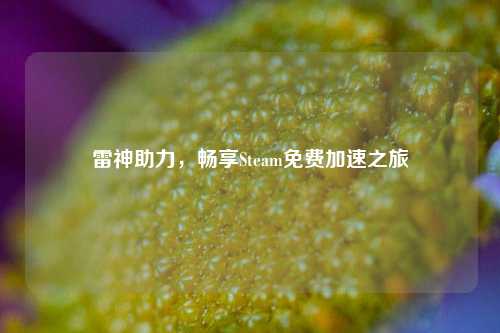 雷神助力,畅享Steam免费加速之旅