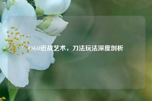 CSGO近战艺术,刀法玩法深度剖析