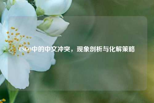 CSGO中的中文冲突,现象剖析与化解策略