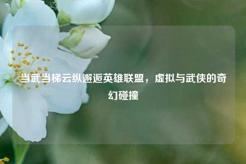 当武当梯云纵邂逅英雄联盟,虚拟与武侠的奇幻碰撞