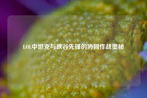 LOL中坦克与峡谷先锋的协同作战奥秘