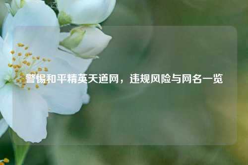 警惕和平精英天道网,违规风险与网名一览