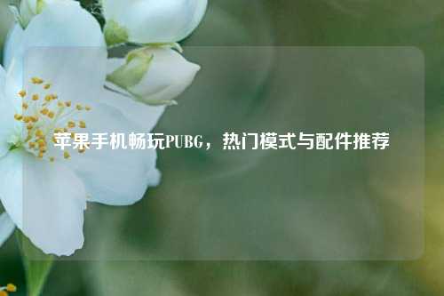 苹果手机畅玩PUBG,热门模式与配件推荐