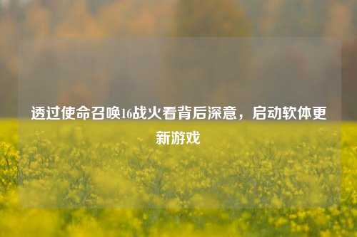 透过使命召唤16战火看背后深意,启动软体更新游戏