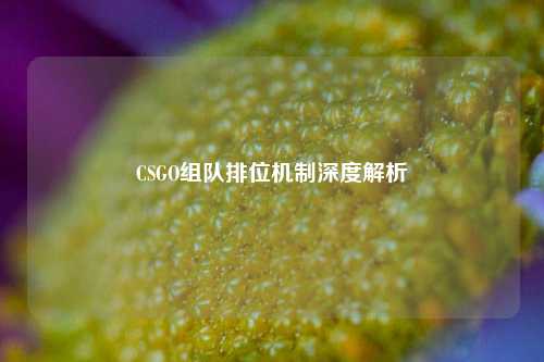 CSGO组队排位机制深度解析