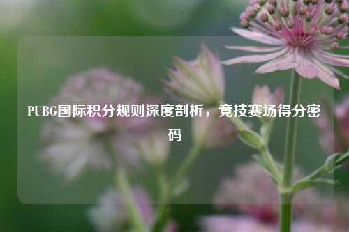 PUBG国际积分规则深度剖析,竞技赛场得分密码
