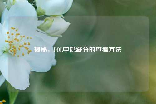 揭秘,LOL中隐藏分的查看 ***