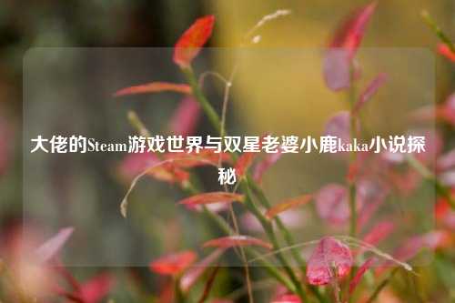 大佬的Steam游戏世界与双星老婆小鹿kaka小说探秘