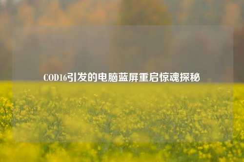 COD16引发的电脑蓝屏重启惊魂探秘