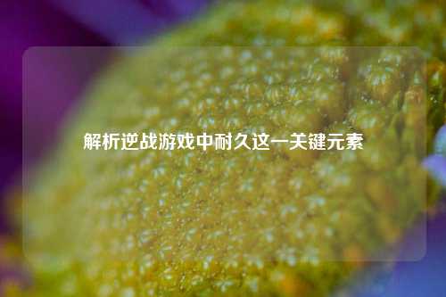 解析逆战游戏中耐久这一关键元素
